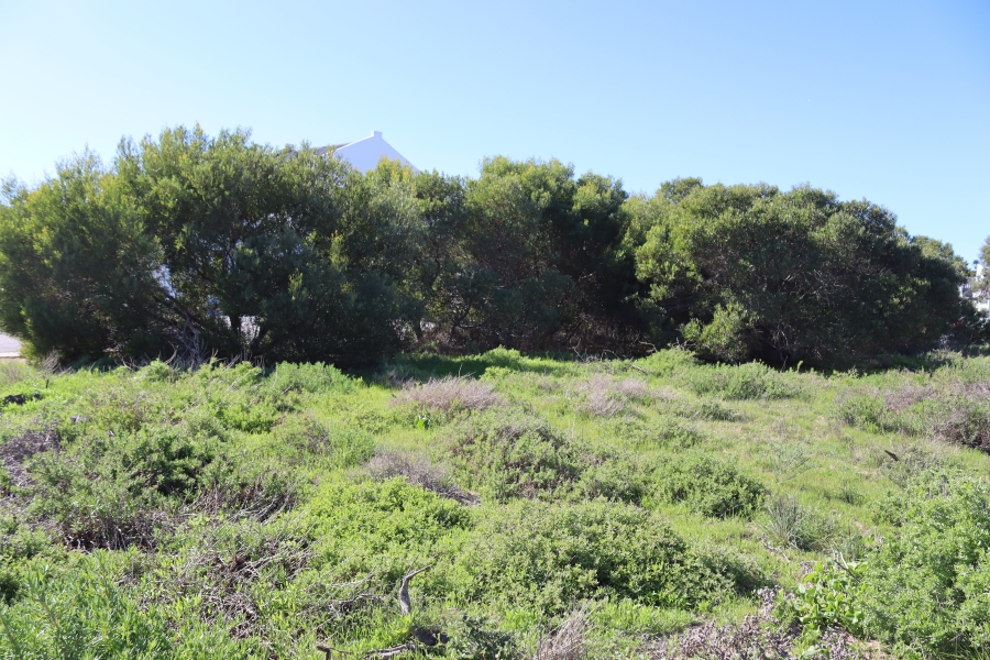 0 Bedroom Property for Sale in Shelley Point Western Cape